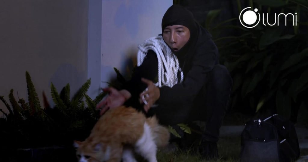 Nhà thông minh Lumi