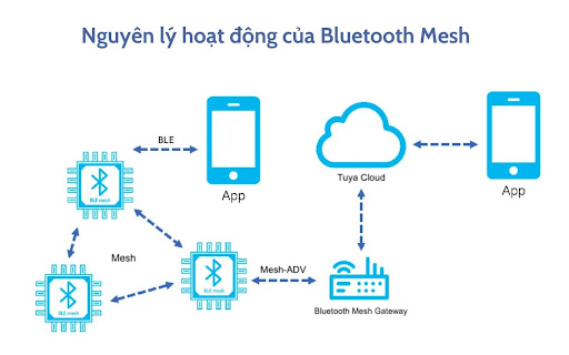 Nguyên lý hoạt động của hệ thống Bluetooth Mesh