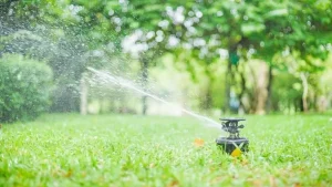 Giải pháp tưới sân vườn tự động
