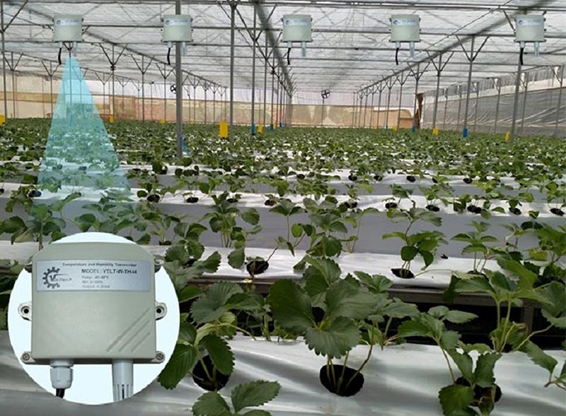 Cảm biến độ ẩm giúp ích rất nhiều trong nông nghiệp