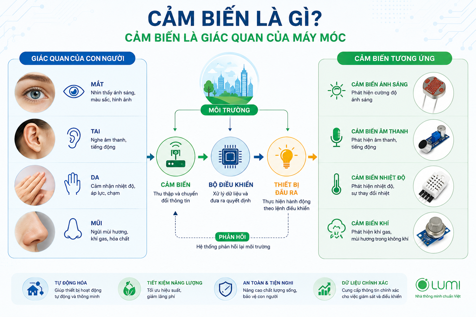 Mô phỏng cảm biến là các giác quan của máy móc